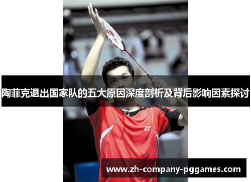 陶菲克退出国家队的五大原因深度剖析及背后影响因素探讨