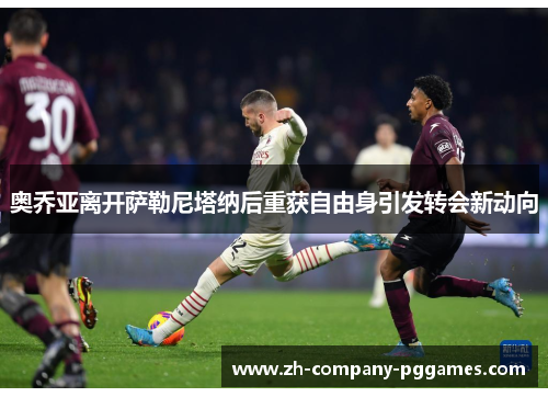 奥乔亚离开萨勒尼塔纳后重获自由身引发转会新动向